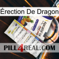 Érection De Dragon 11